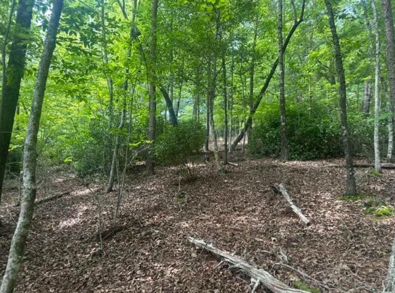 2 Thunder Road Property Photo 9