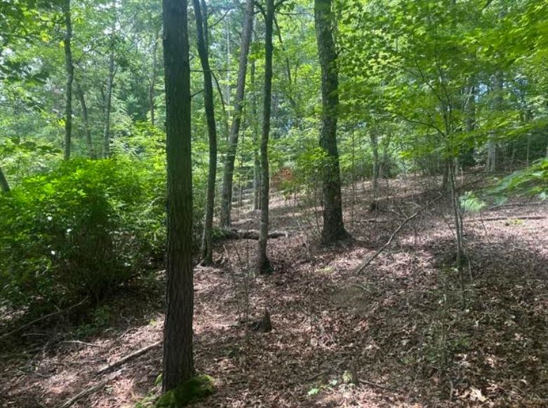 2 Thunder Road Property Photo 10