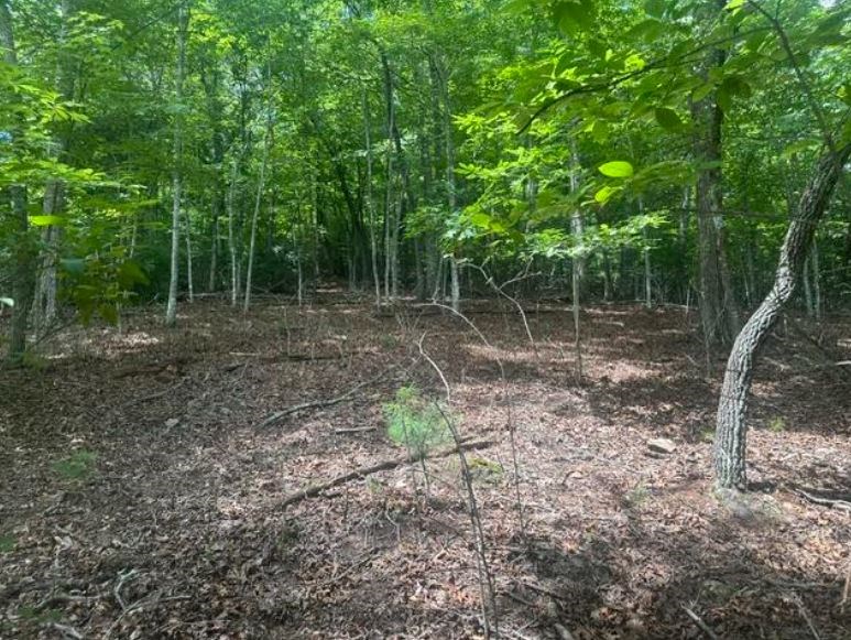 2 Thunder Road Property Photo 11