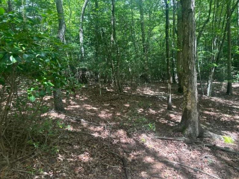 2 Thunder Road Property Photo 12