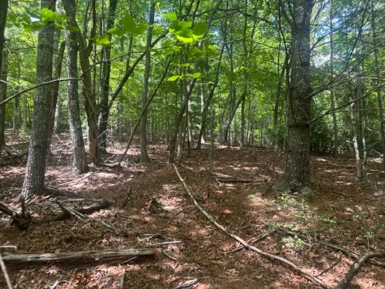 2 Thunder Road Property Photo 13