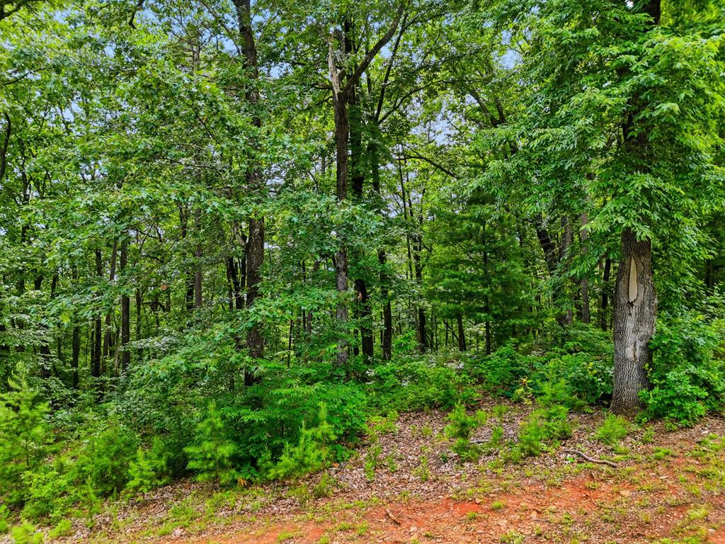 Lot 11 Weeks Drive Property Photo 1