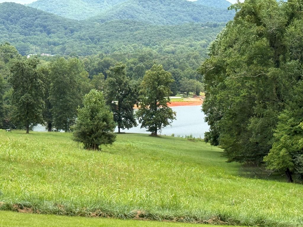 LOT 3 Viewpoint Lane Property Photo 1
