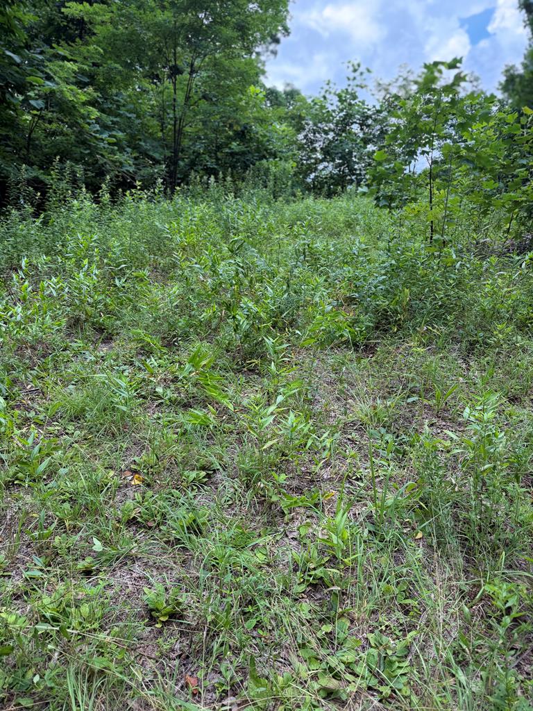 0 Outlook Road Property Photo 1