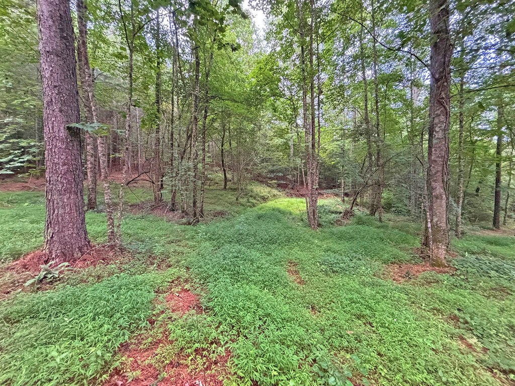 10ac Lovejoy Lane Property Photo 17
