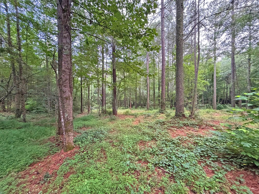 10ac Lovejoy Lane Property Photo 19