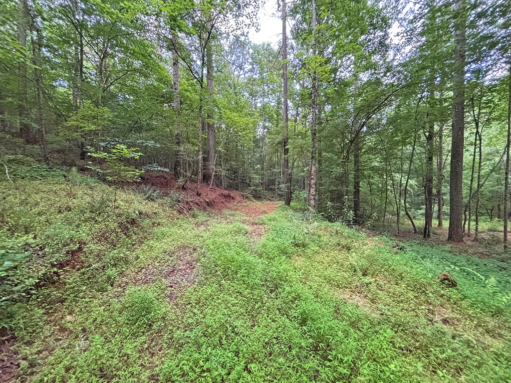 10ac Lovejoy Lane Property Photo 21