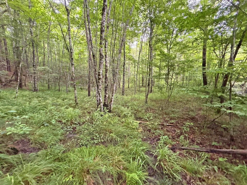 10ac Yonder Way Property Photo 3