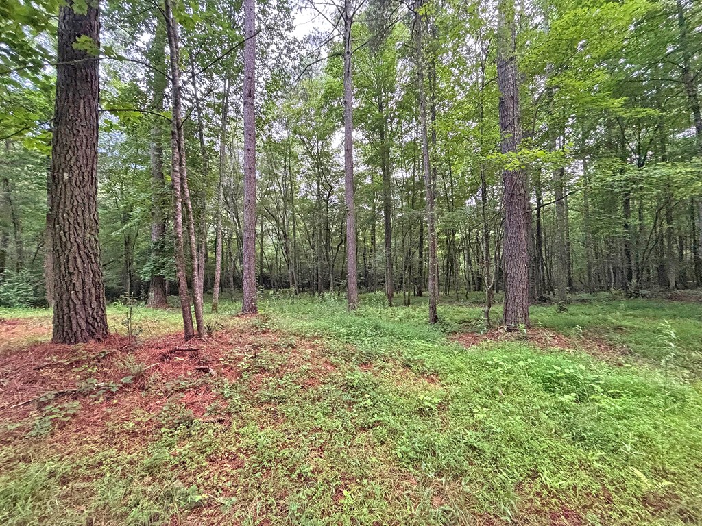 10ac Yonder Way Property Photo 5