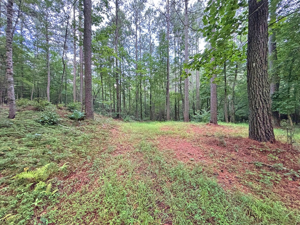 10ac Yonder Way Property Photo 9