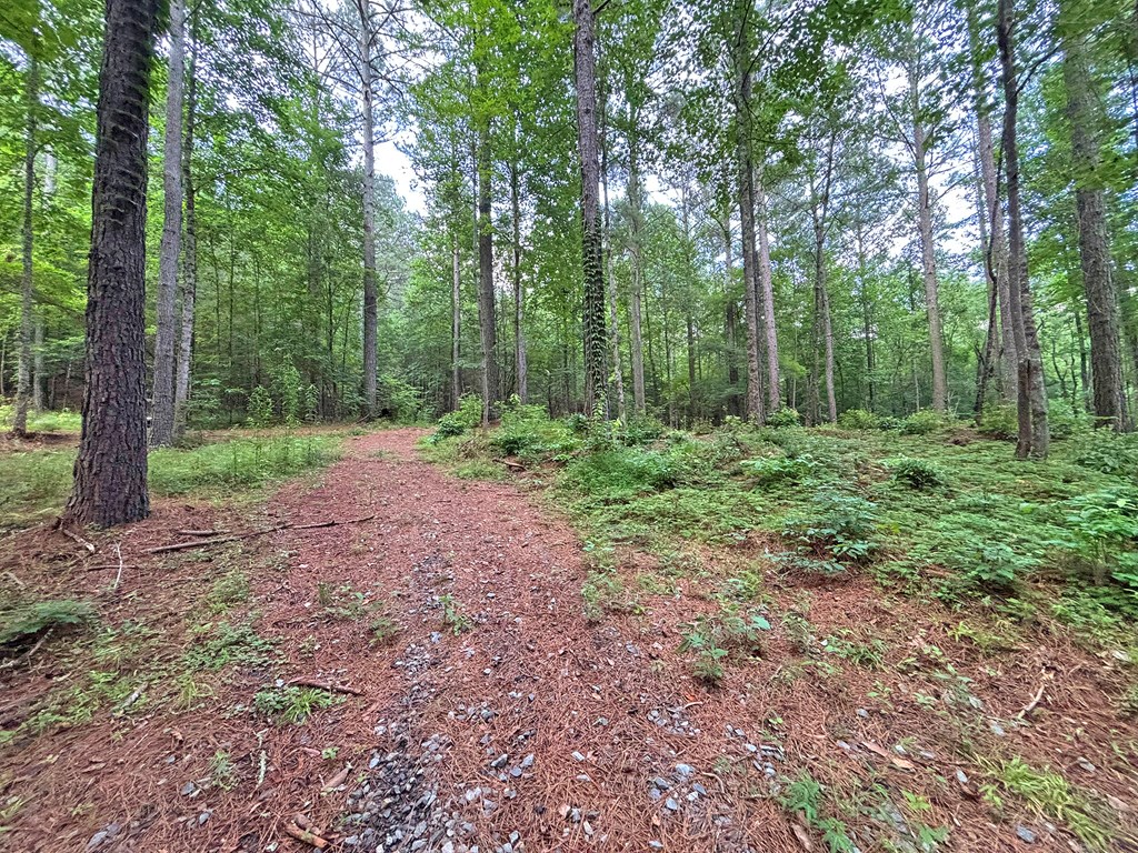 10ac Yonder Way Property Photo 13