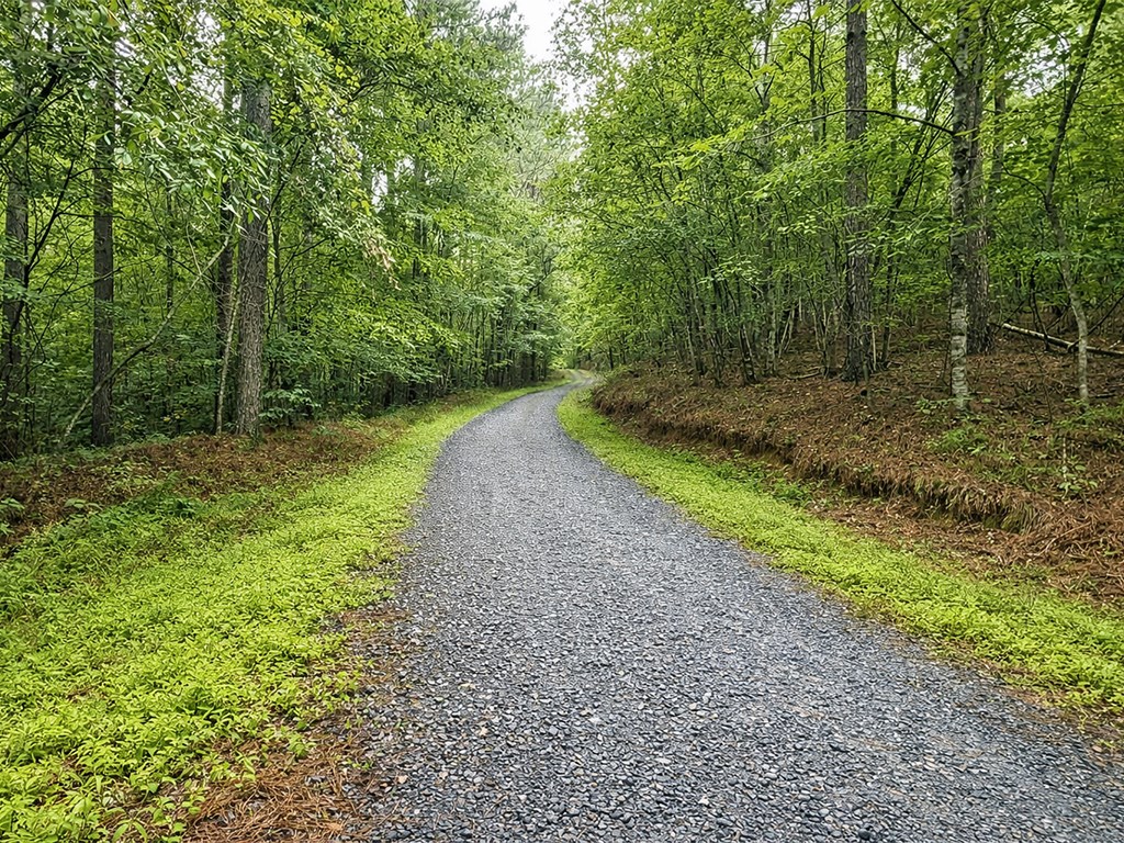 10ac Yonder Way Property Photo 15