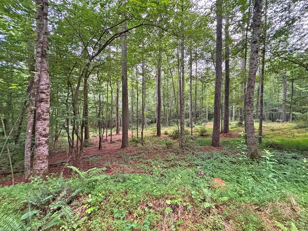 10ac Yonder Way Property Photo 23