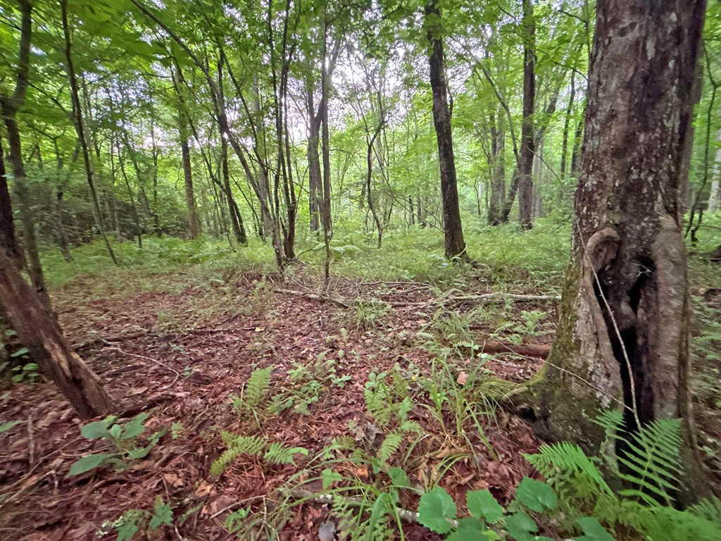 10ac Yonder Way Property Photo 27