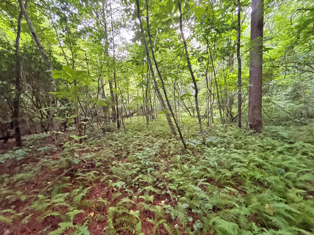 10ac Yonder Way Property Photo 29