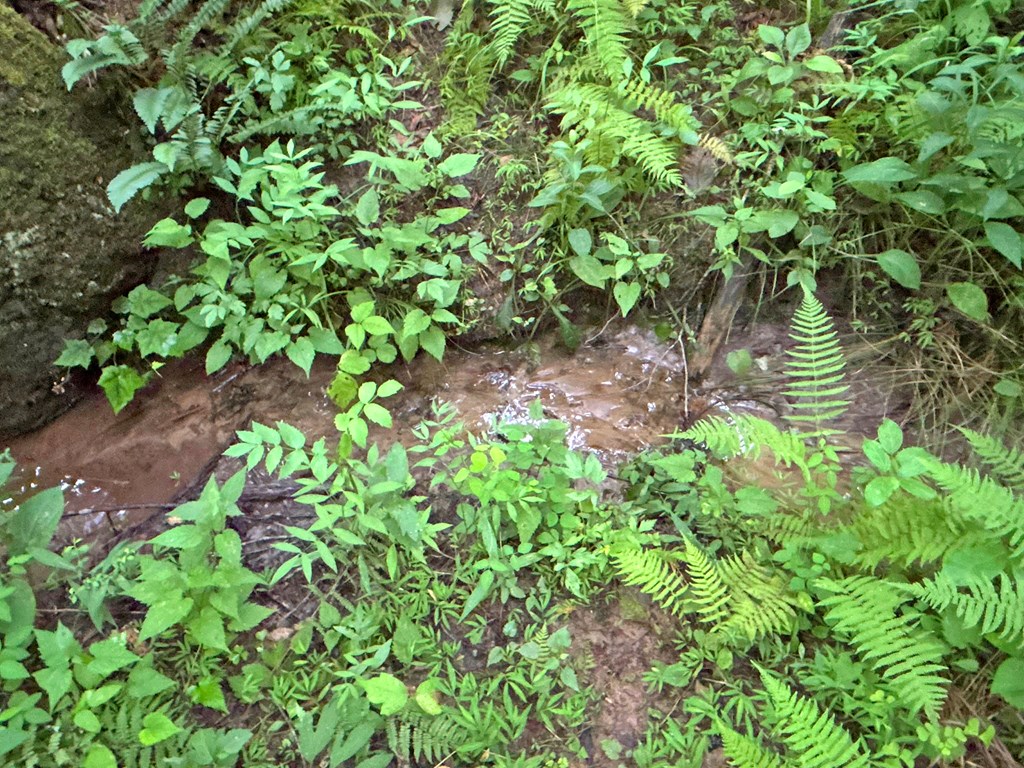 10ac Yonder Way Property Photo 31