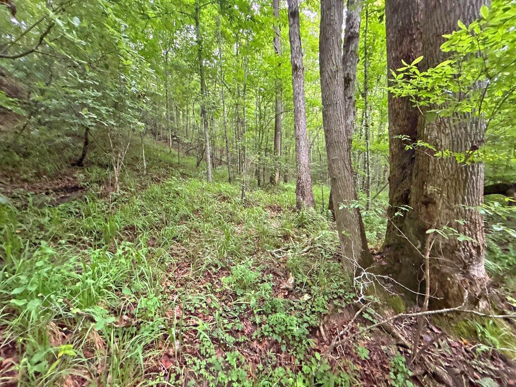 10ac Yonder Way Property Photo 33