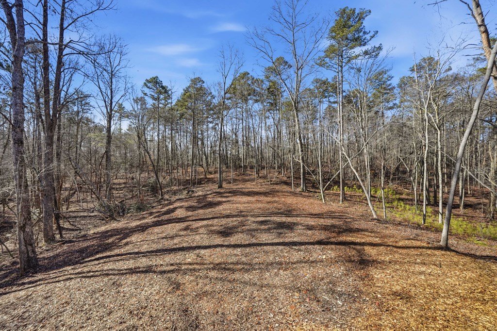 835 Hilton Drive Property Photo 39