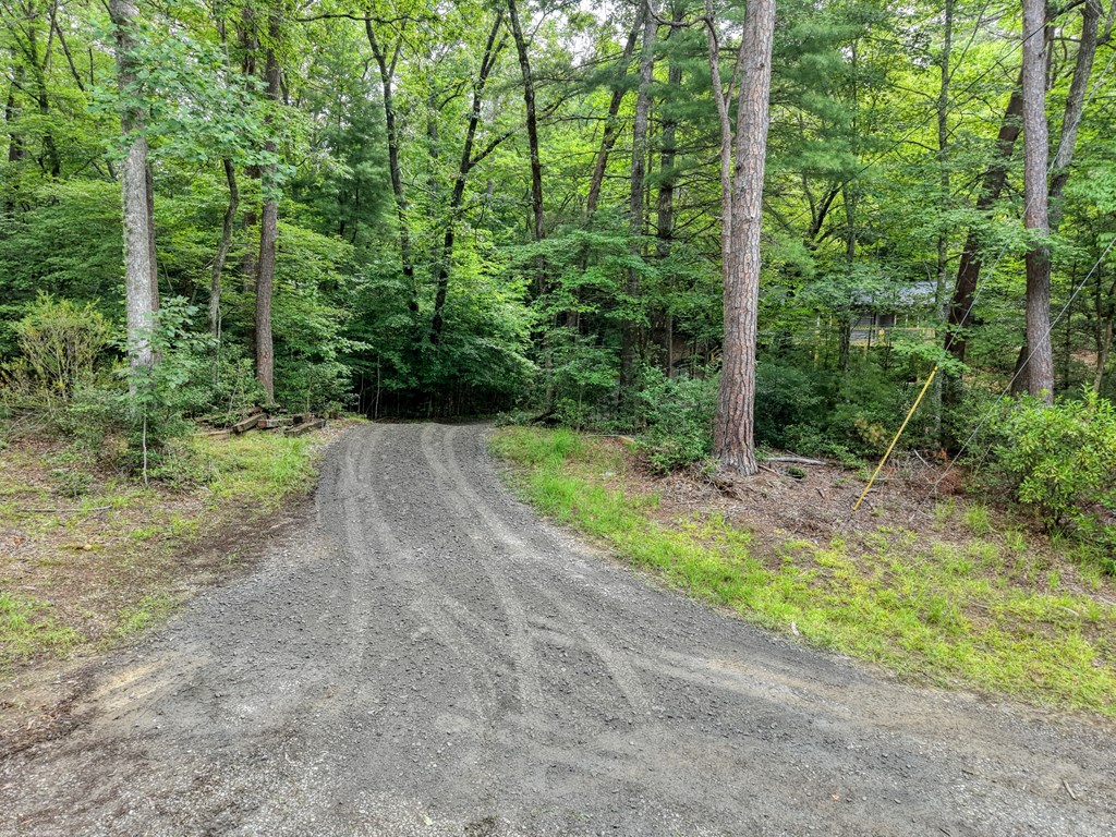 198 Big Rock Drive Property Photo 40