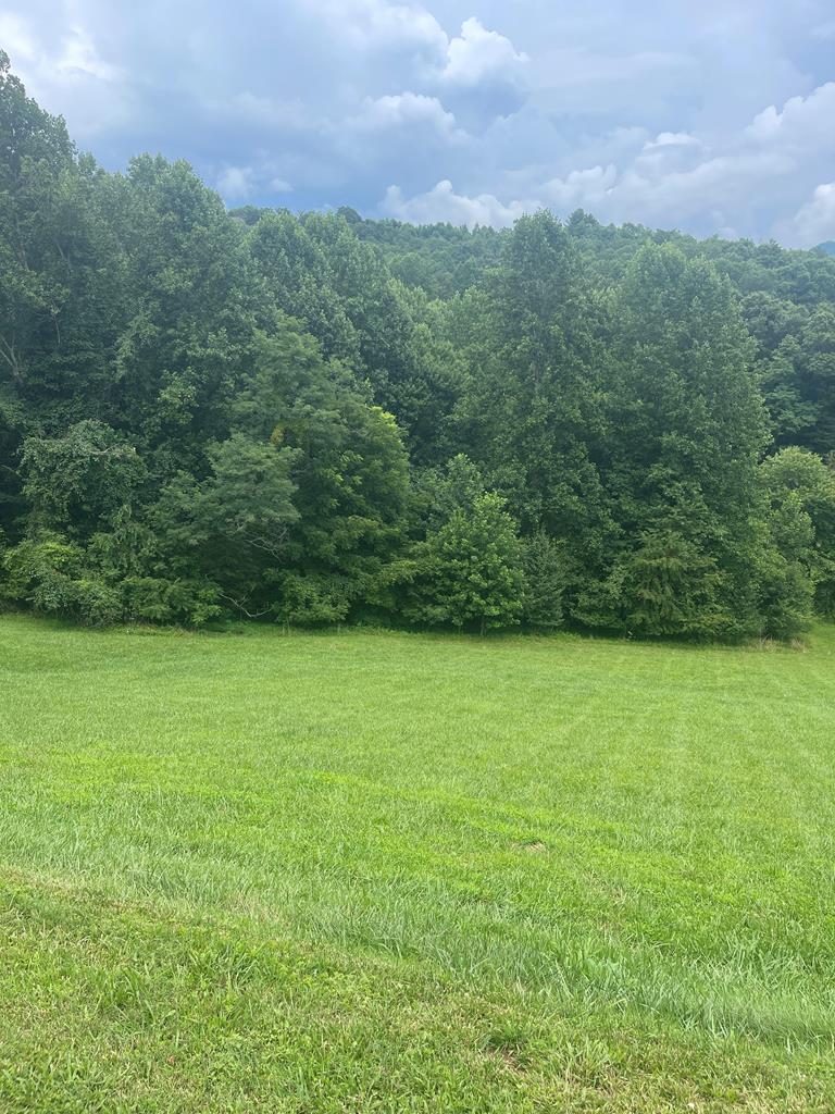Lot 22C Ash Branch Circle Property Photo 1
