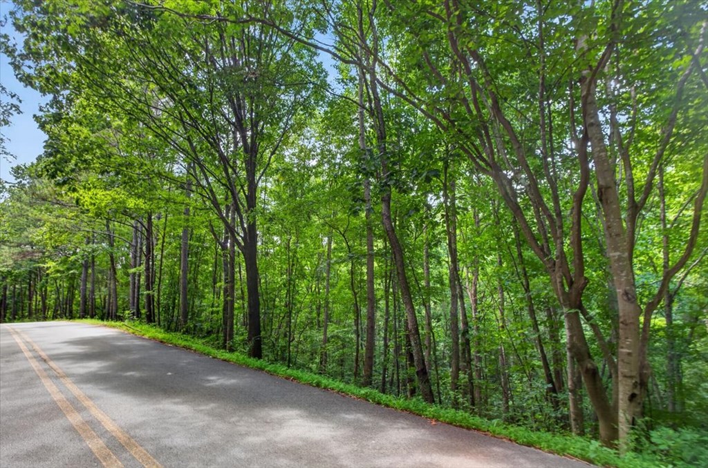 0 Lot 67 Ginger Drive Property Photo 9
