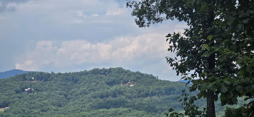 Lot 7 Scouts Overlook Property Photo 1