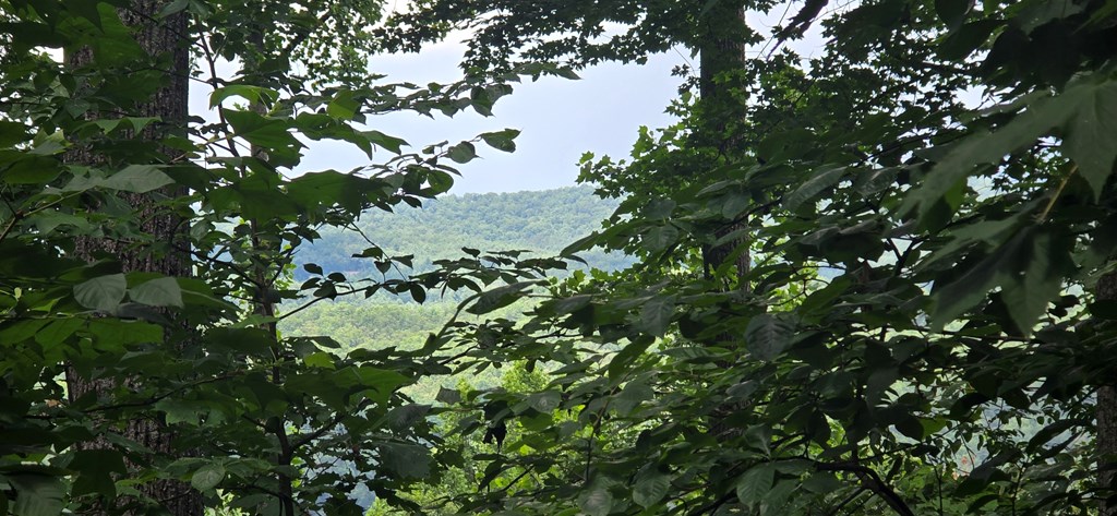 Lot 7 Scouts Overlook Property Photo 2
