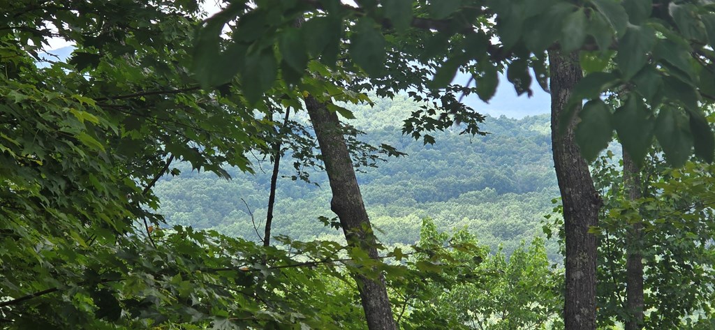 Lot 7 Scouts Overlook Property Photo 4