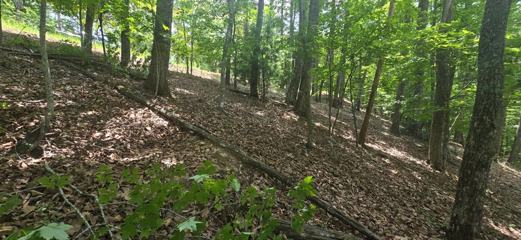 Lot 7 Scouts Overlook Property Photo 7