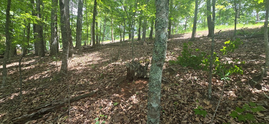 Lot 7 Scouts Overlook Property Photo 8