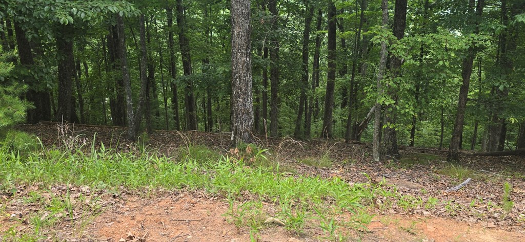 Lot 7 Scouts Overlook Property Photo 9