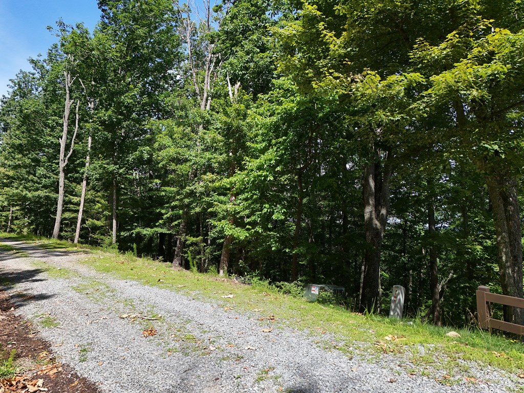 Lot 7 Scouts Overlook Property Photo 10