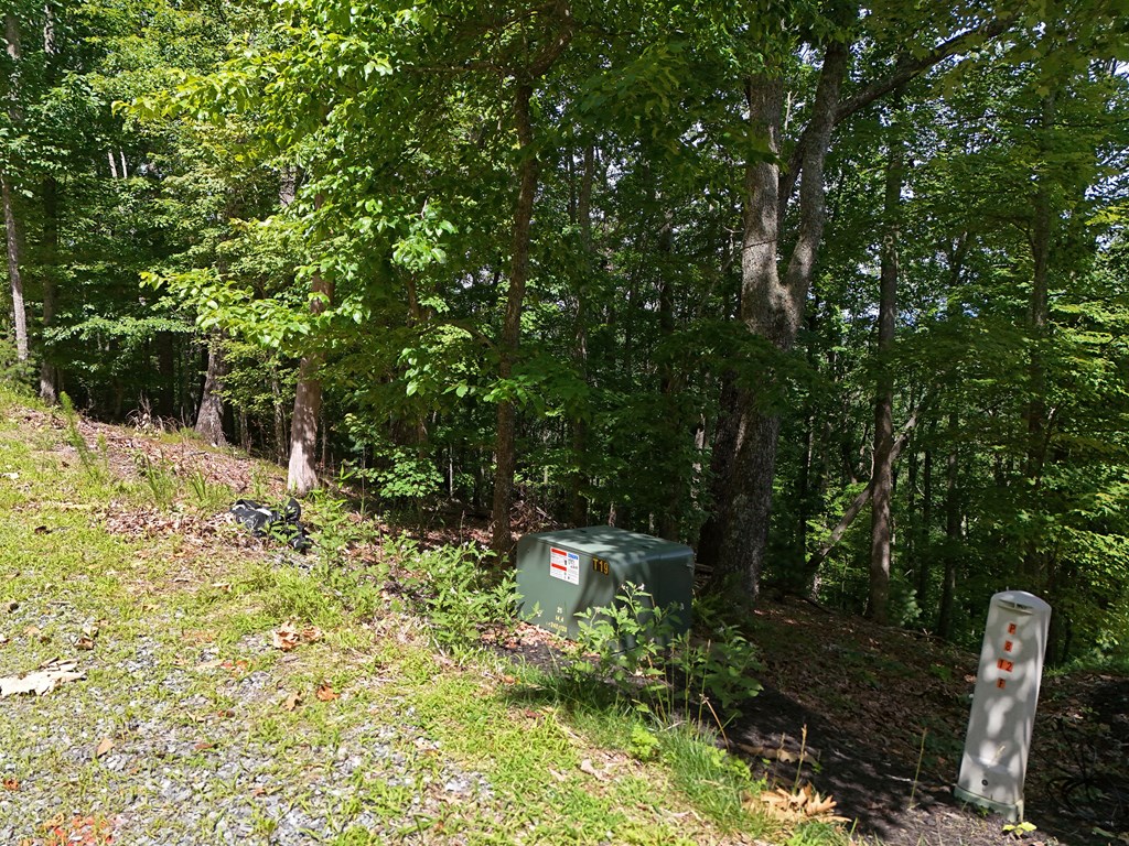 Lot 7 Scouts Overlook Property Photo 11