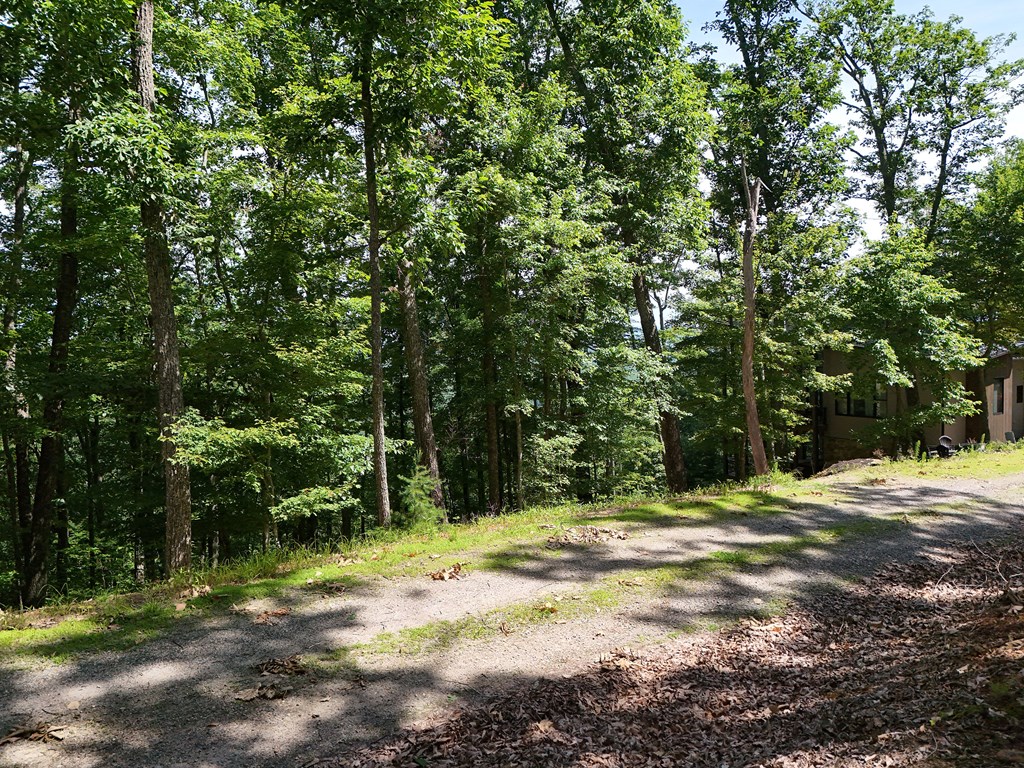 Lot 7 Scouts Overlook Property Photo 12
