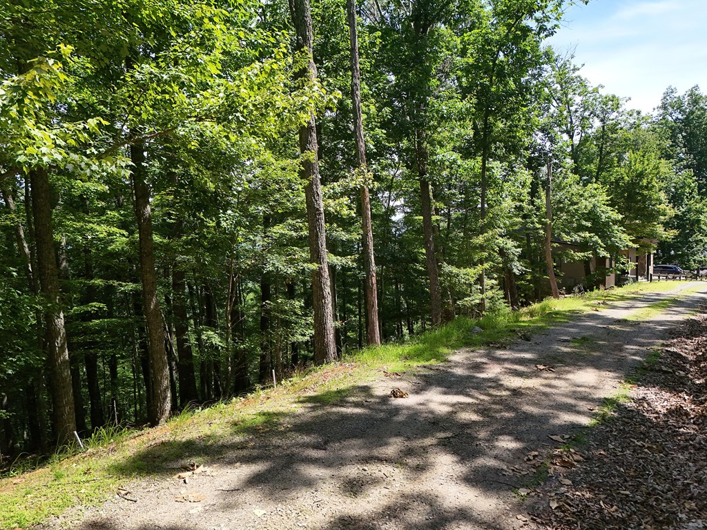 Lot 7 Scouts Overlook Property Photo 13