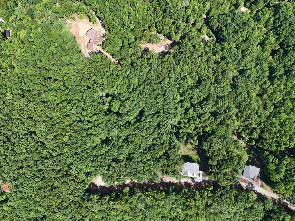 Lot 7 Scouts Overlook Property Photo 19