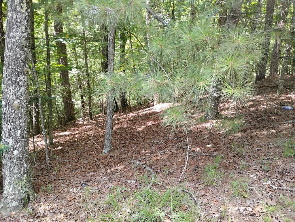 0 Crystal Lane Property Photo 2