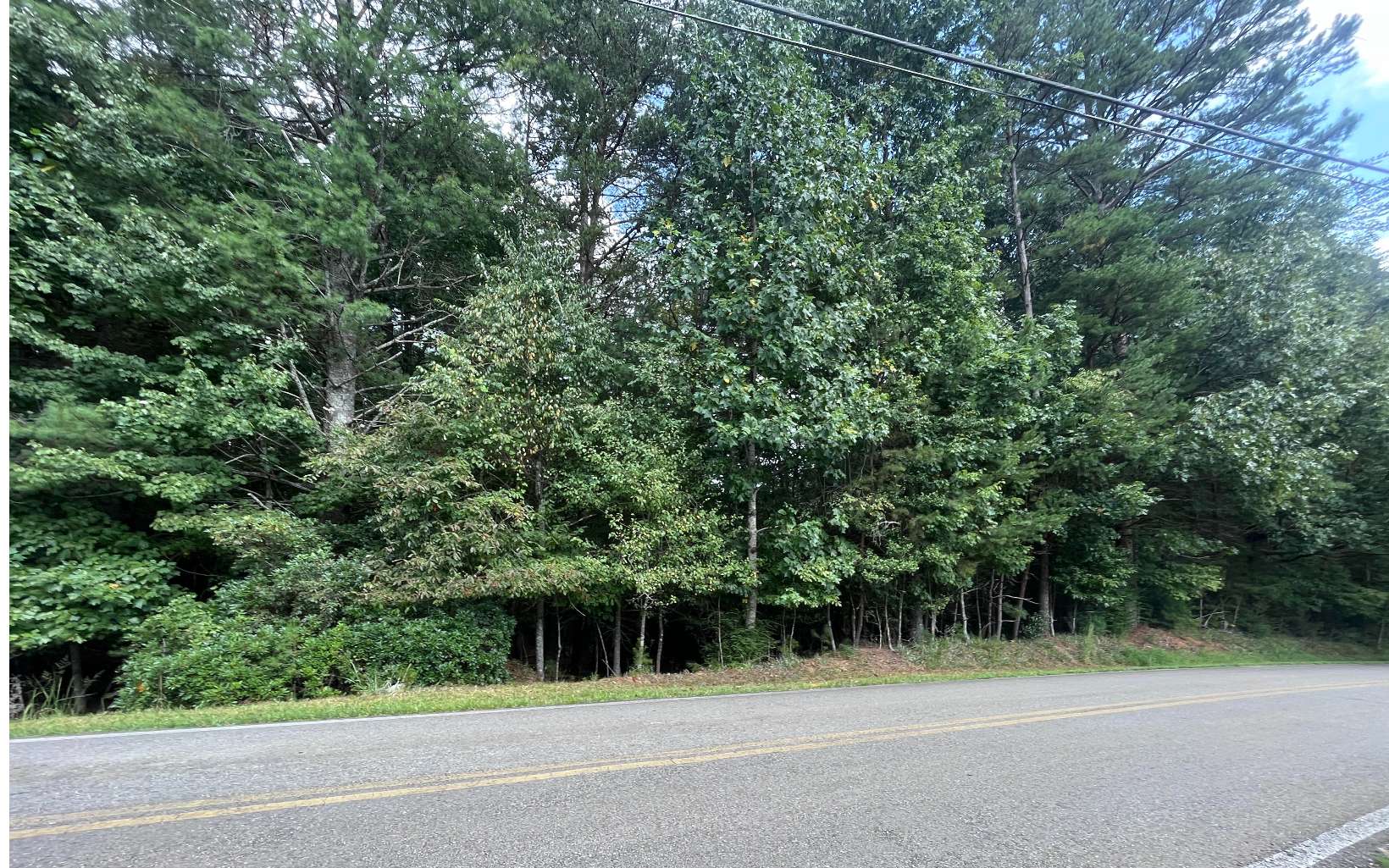 Lt 88 Shenandoah Drive Property Photo 3