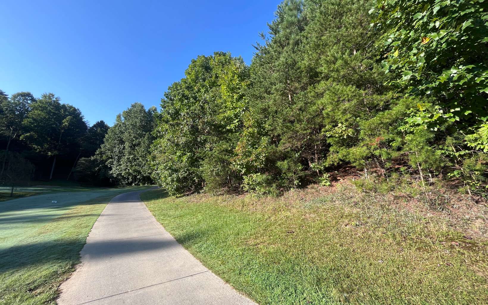 Lt 88 Shenandoah Drive Property Photo 6