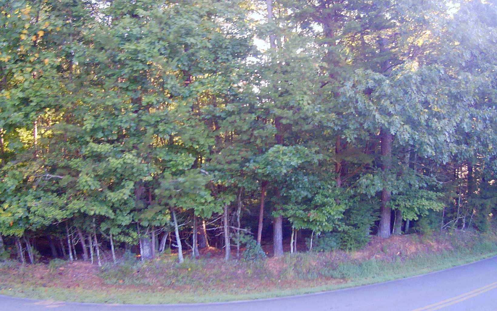 Lt 88 Shenandoah Drive Property Photo 18