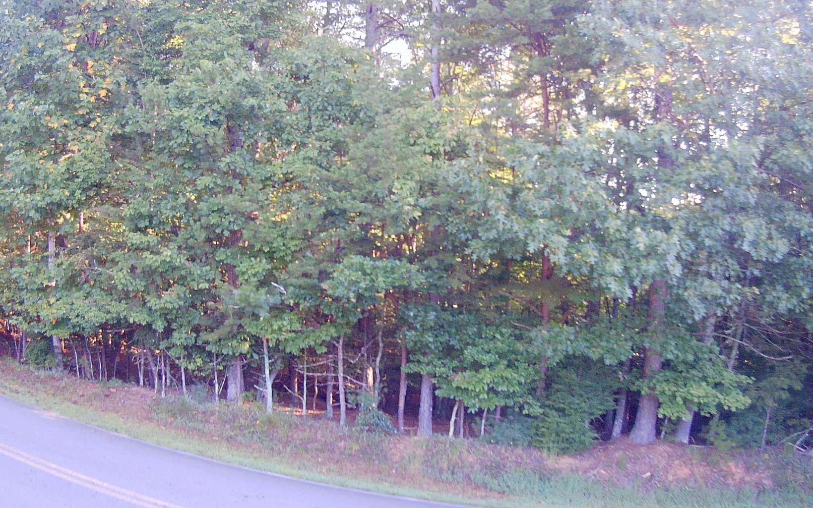Lt 88 Shenandoah Drive Property Photo 19