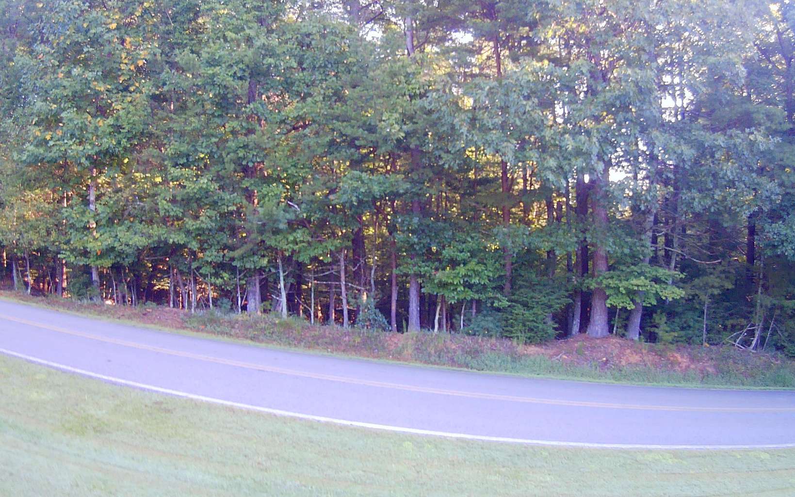 Lt 88 Shenandoah Drive Property Photo 21
