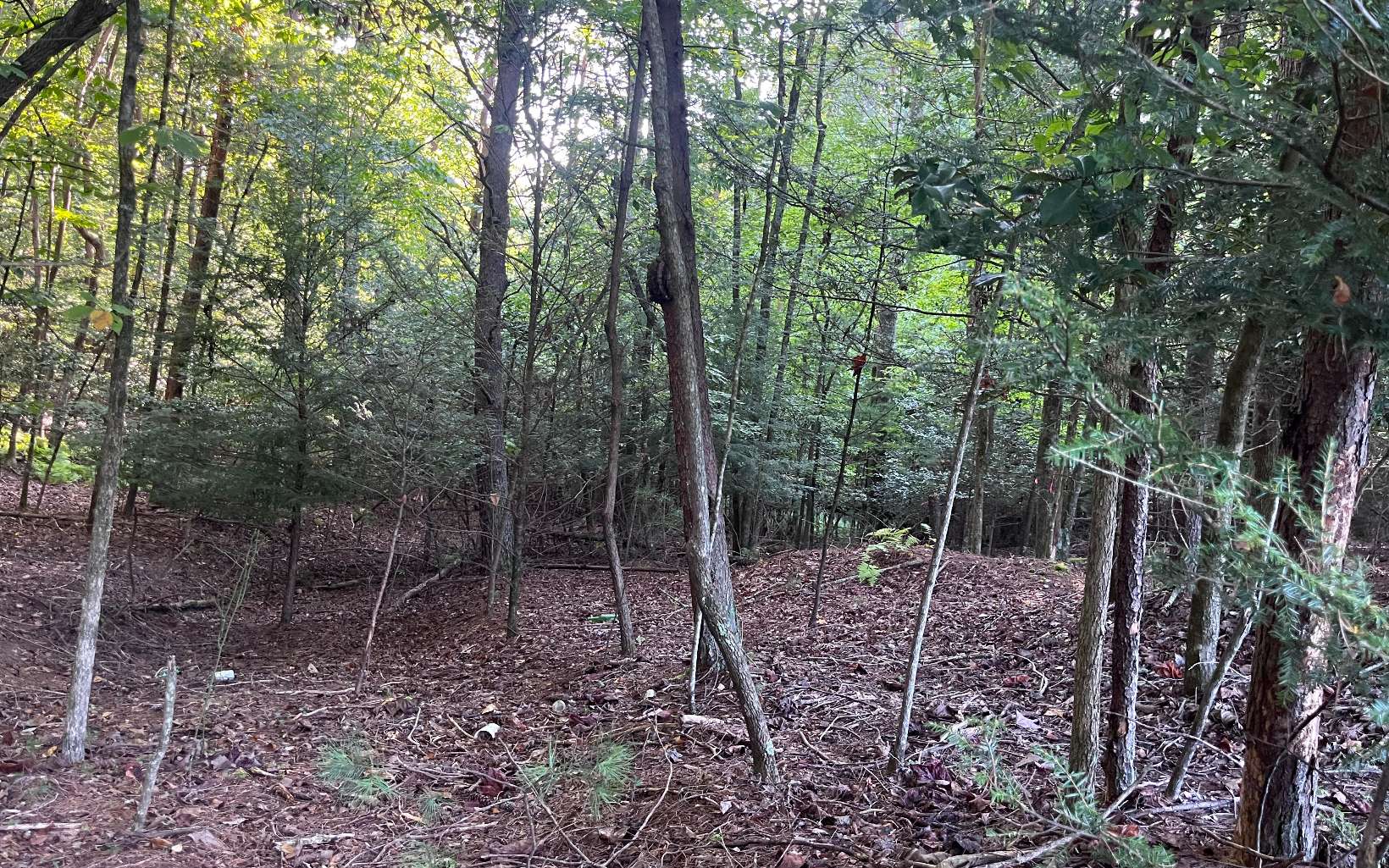 Lt 88 Shenandoah Drive Property Photo 22