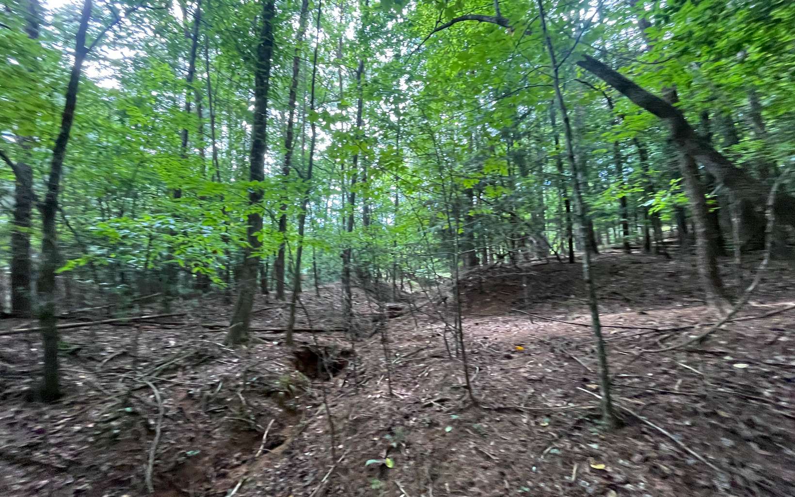 Lt 88 Shenandoah Drive Property Photo 23