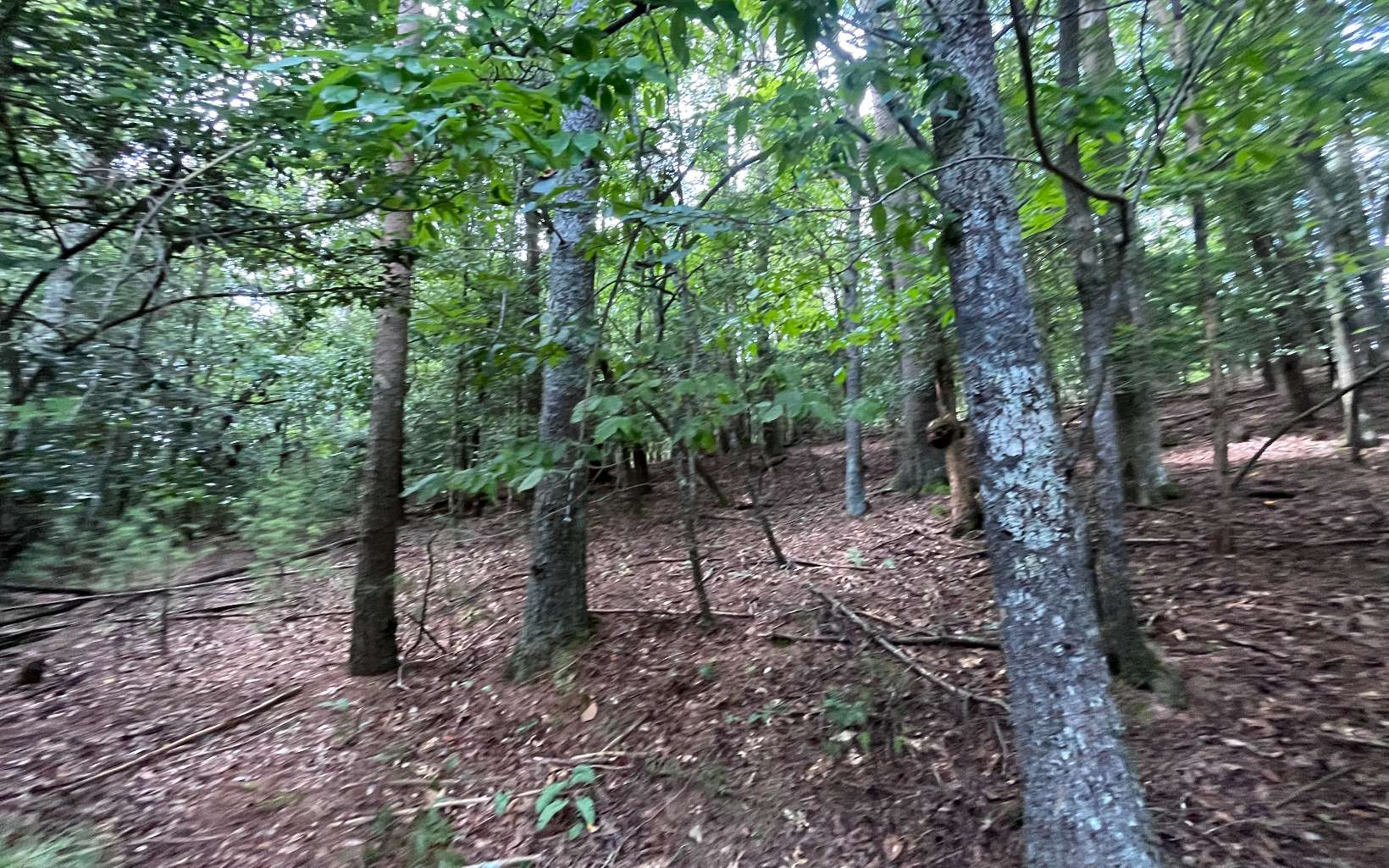 Lt 88 Shenandoah Drive Property Photo 25