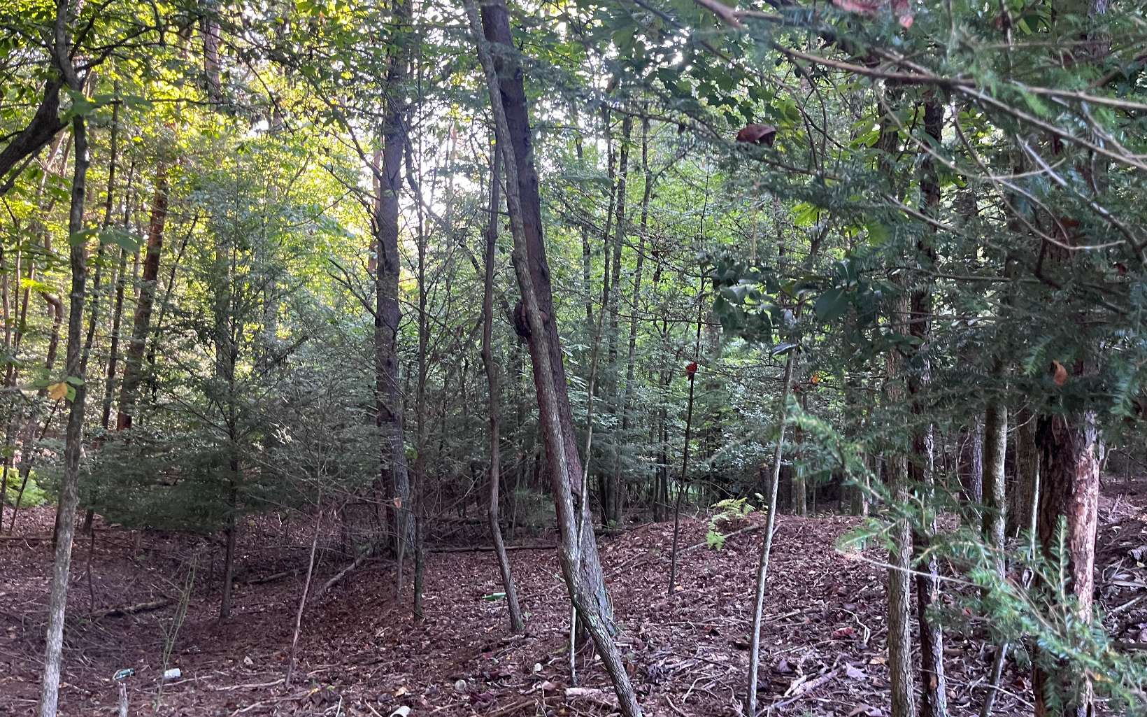 Lt 88 Shenandoah Drive Property Photo 26