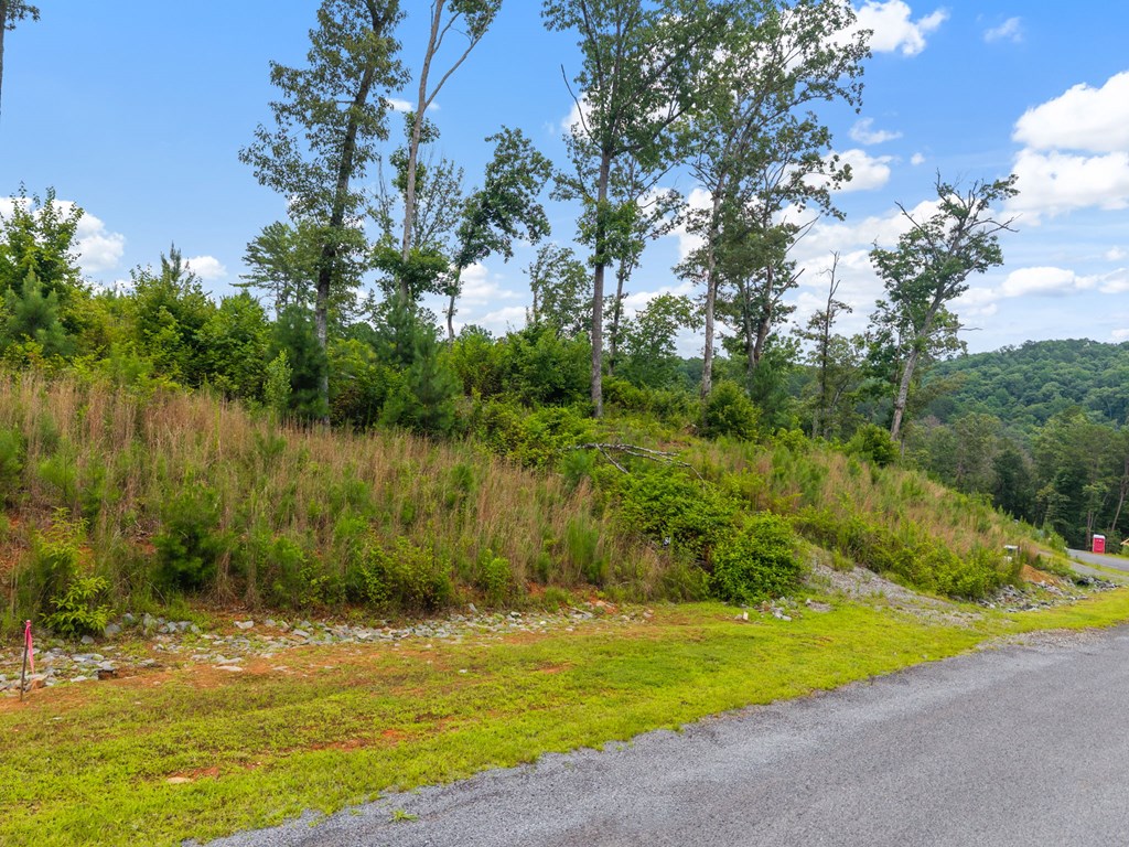 Lot 84 Jakes Landing Way Property Photo 2