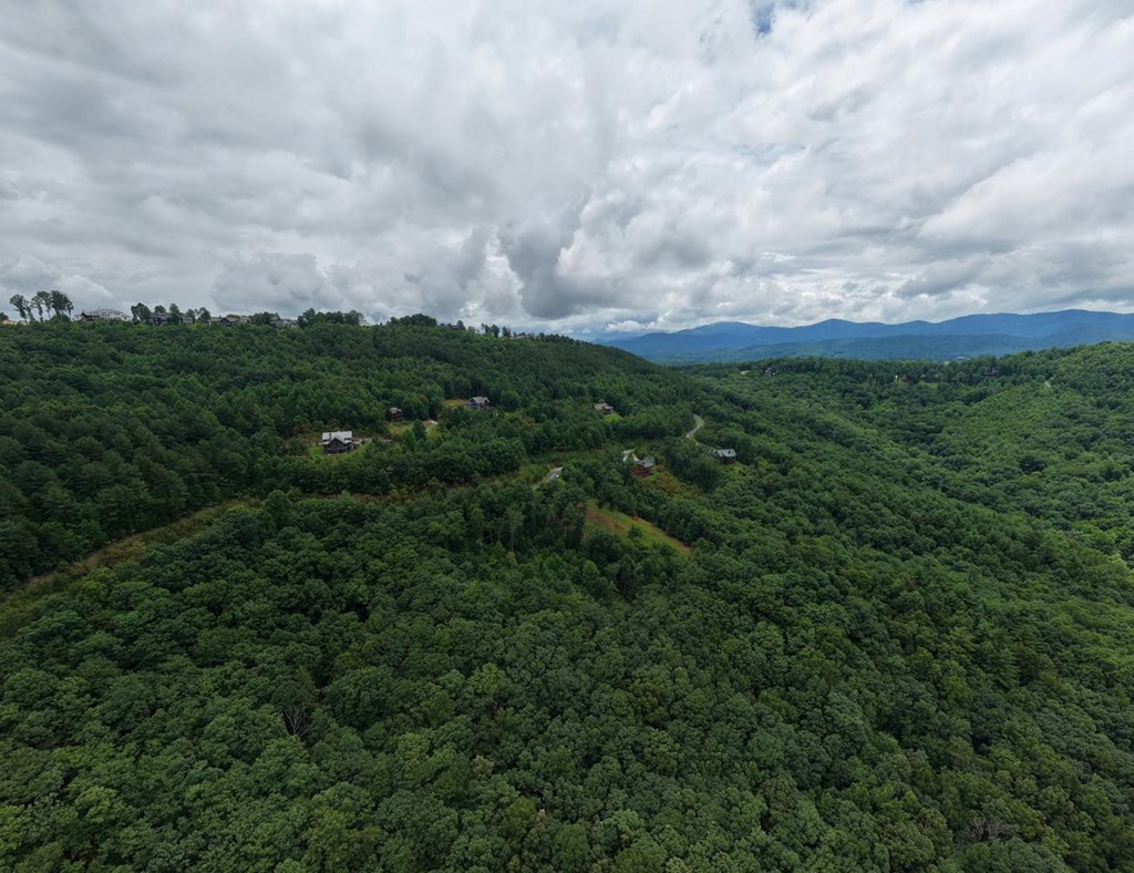 Lot 83 Ridge Peak View Property Photo 2