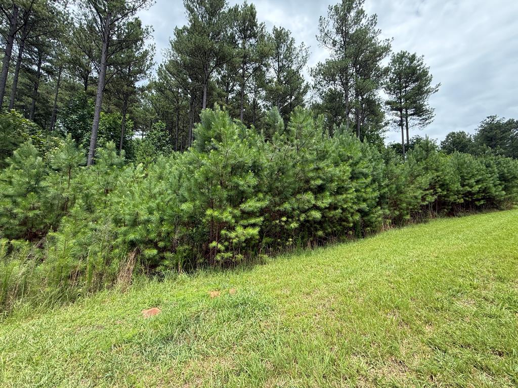LOT 174 The Stables Loop Property Photo 1