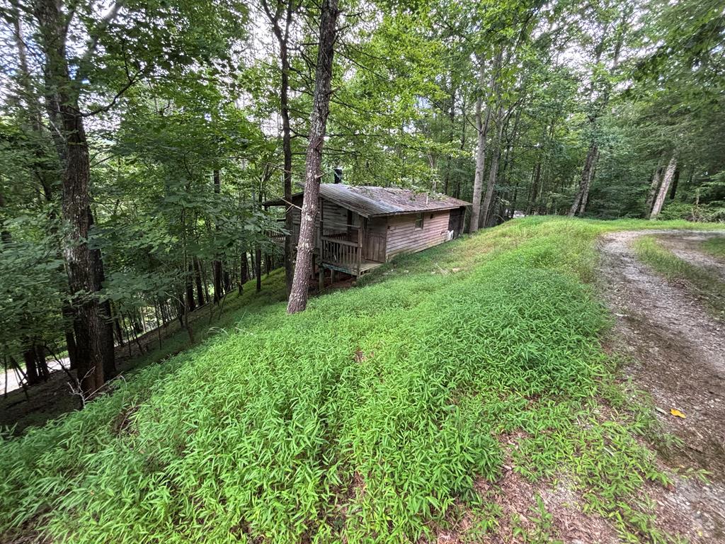 1163 Tipton Springs Road Property Photo 1